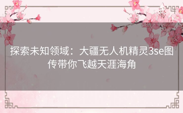 探索未知领域：大疆无人机精灵3se图传带你飞越天涯海角