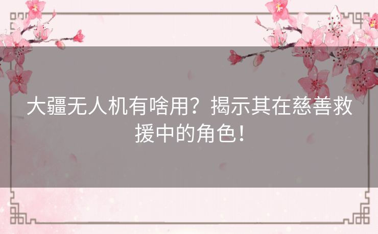 大疆无人机有啥用？揭示其在慈善救援中的角色！