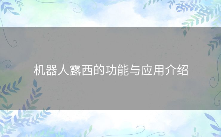机器人露西的功能与应用介绍