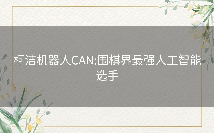 柯洁机器人CAN:围棋界最强人工智能选手