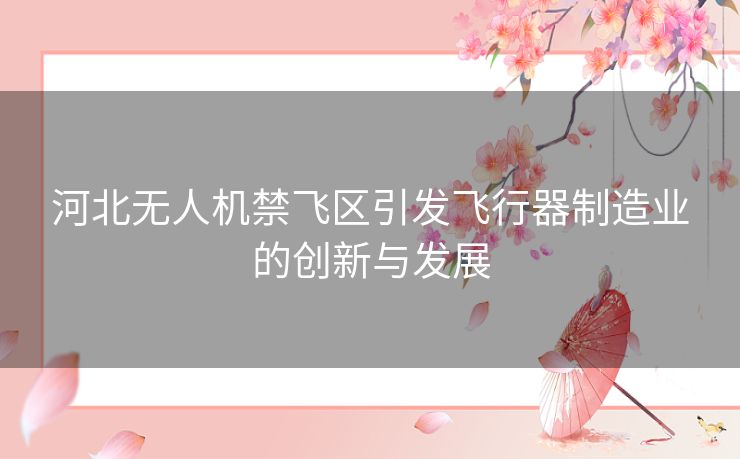 河北无人机禁飞区引发飞行器制造业的创新与发展