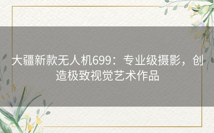 大疆新款无人机699：专业级摄影，创造极致视觉艺术作品