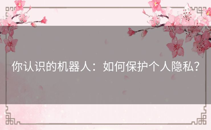你认识的机器人：如何保护个人隐私？
