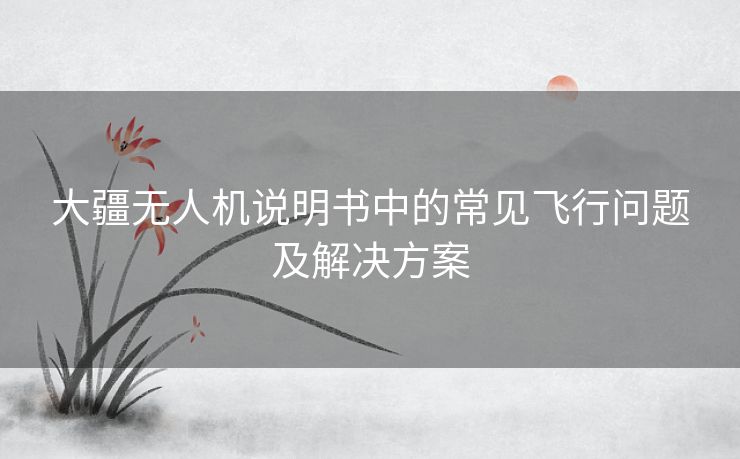 大疆无人机说明书中的常见飞行问题及解决方案