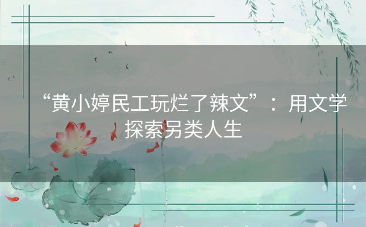 “黄小婷民工玩烂了辣文”：用文学探索另类人生