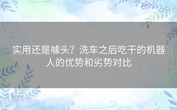 实用还是噱头？洗车之后吃干的机器人的优势和劣势对比