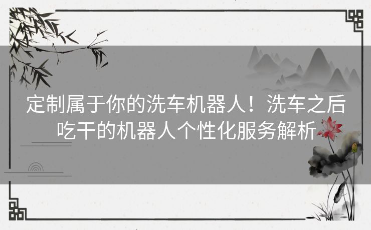 定制属于你的洗车机器人！洗车之后吃干的机器人个性化服务解析