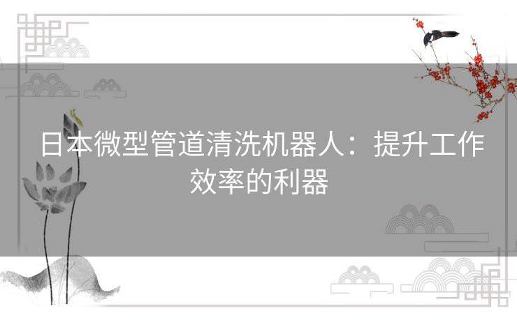 日本微型管道清洗机器人：提升工作效率的利器