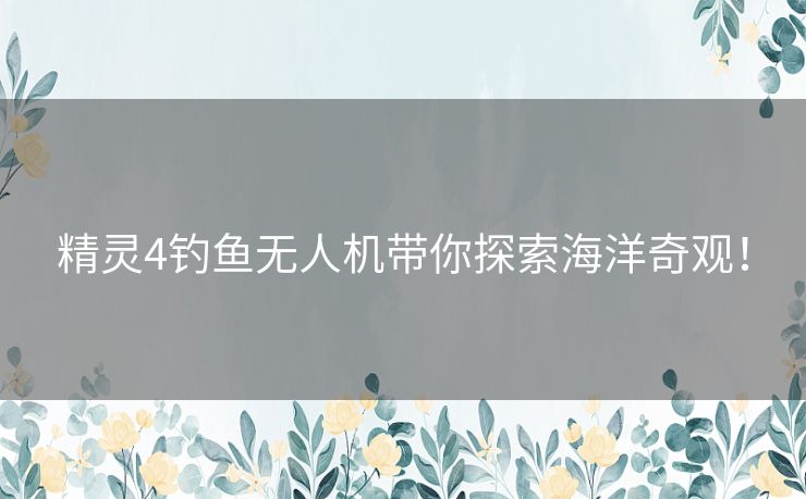 精灵4钓鱼无人机带你探索海洋奇观！