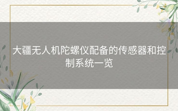 大疆无人机陀螺仪配备的传感器和控制系统一览