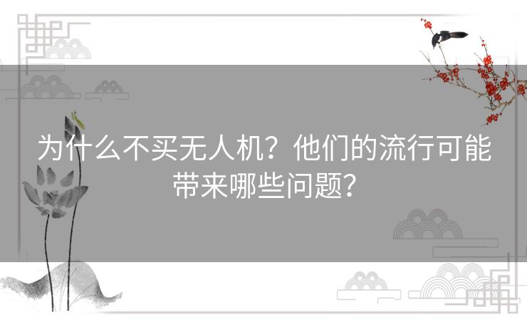 为什么不买无人机？他们的流行可能带来哪些问题？