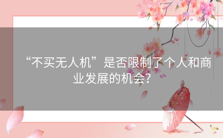 “不买无人机”是否限制了个人和商业发展的机会？