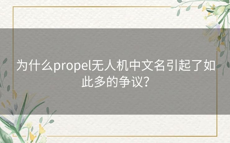 为什么propel无人机中文名引起了如此多的争议？