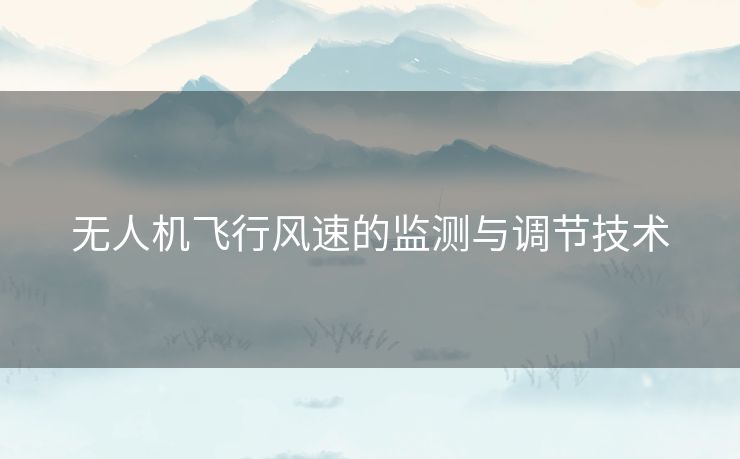 无人机飞行风速的监测与调节技术