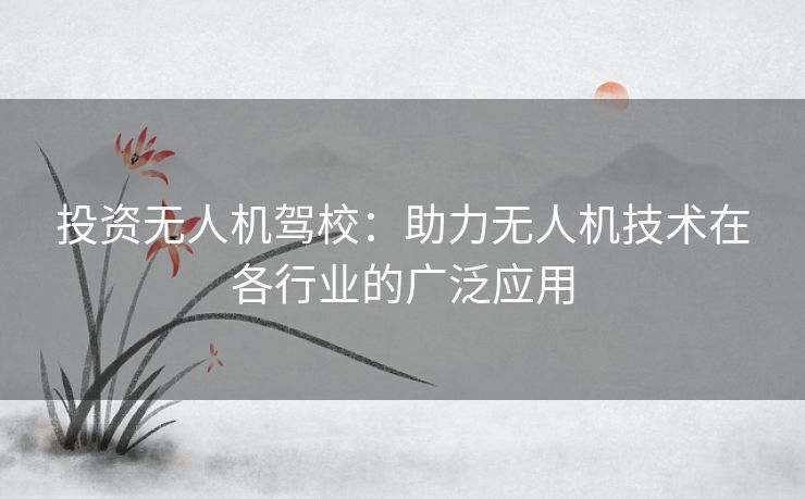 投资无人机驾校：助力无人机技术在各行业的广泛应用