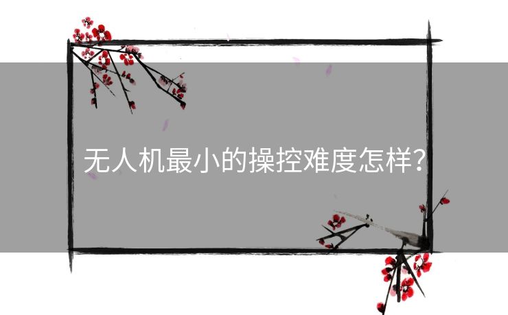 无人机最小的操控难度怎样？