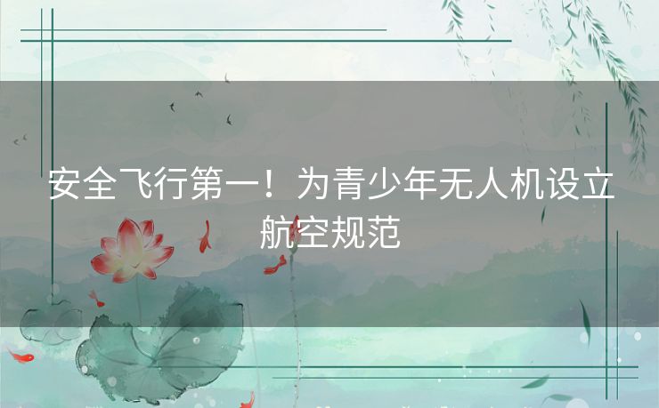 安全飞行第一！为青少年无人机设立航空规范