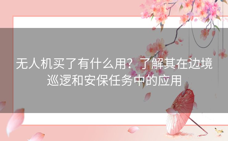 无人机买了有什么用？了解其在边境巡逻和安保任务中的应用