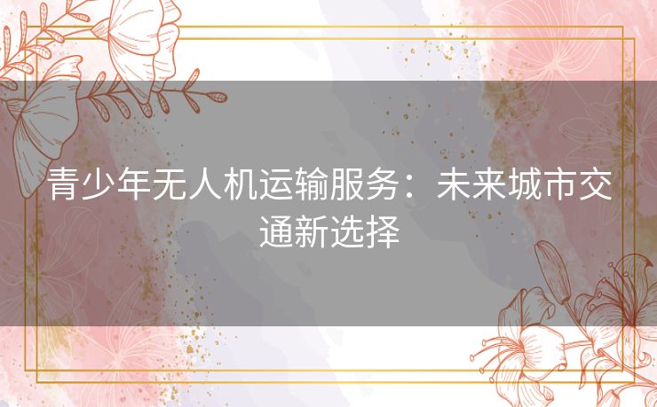 青少年无人机运输服务：未来城市交通新选择