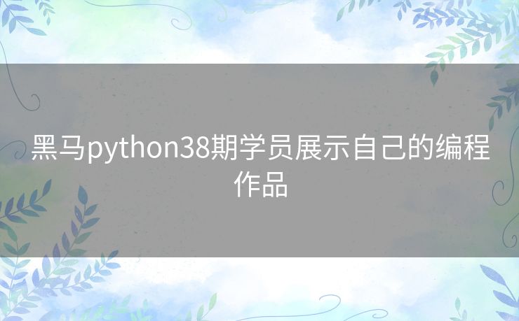 黑马python38期学员展示自己的编程作品