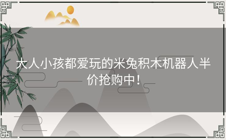 大人小孩都爱玩的米兔积木机器人半价抢购中！