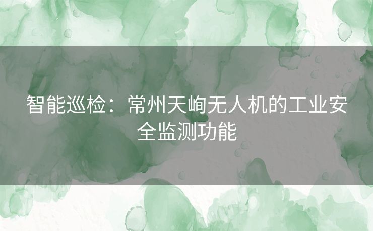 智能巡检：常州天峋无人机的工业安全监测功能