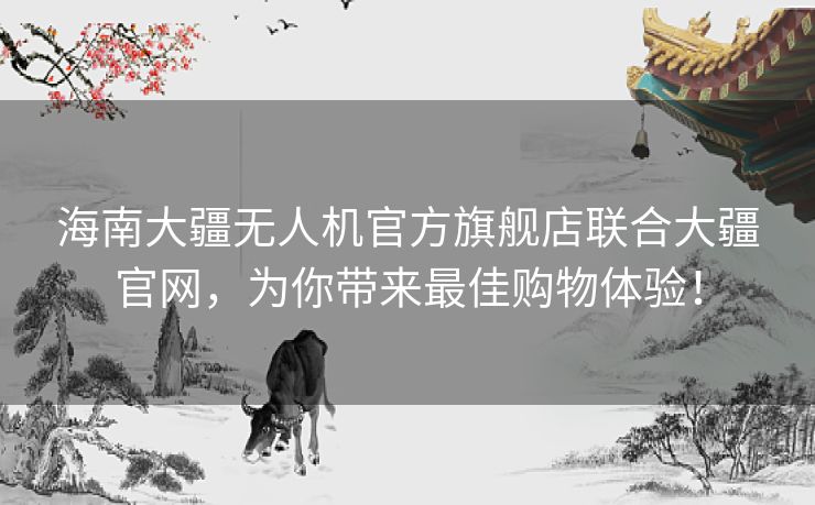 海南大疆无人机官方旗舰店联合大疆官网，为你带来最佳购物体验！