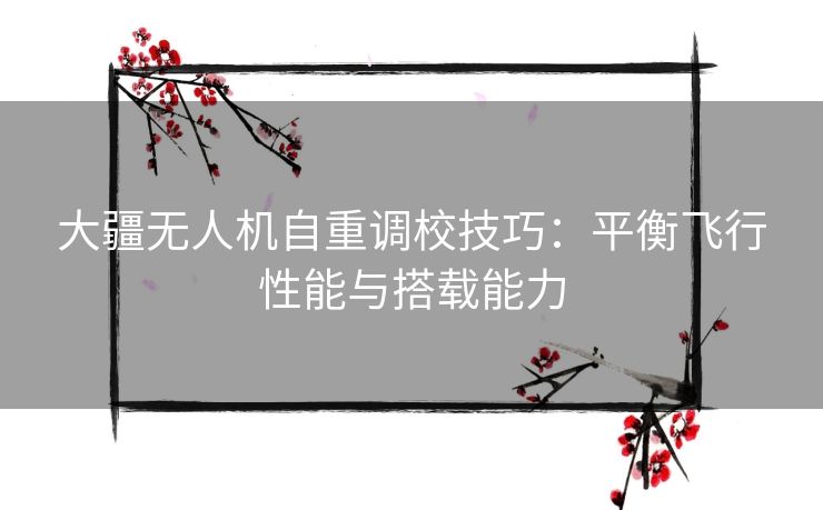 大疆无人机自重调校技巧：平衡飞行性能与搭载能力