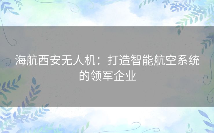 海航西安无人机：打造智能航空系统的领军企业