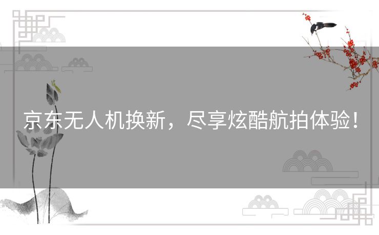 京东无人机换新，尽享炫酷航拍体验！