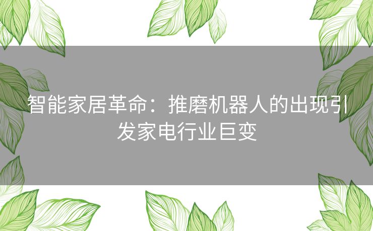 智能家居革命：推磨机器人的出现引发家电行业巨变