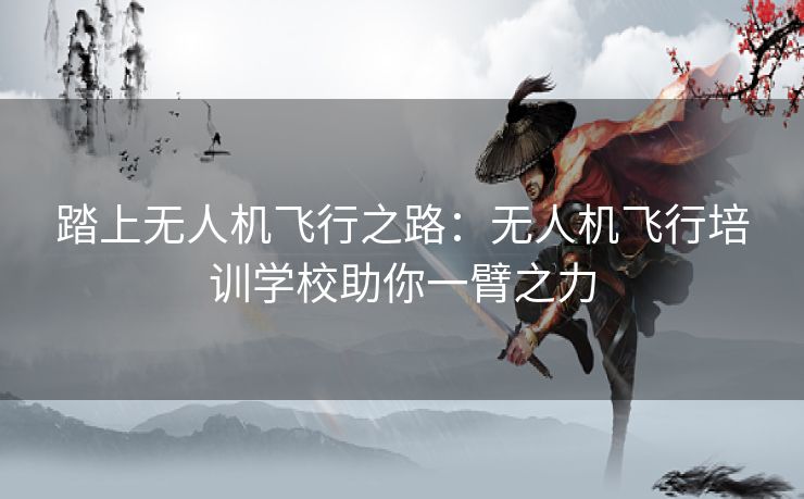踏上无人机飞行之路：无人机飞行培训学校助你一臂之力