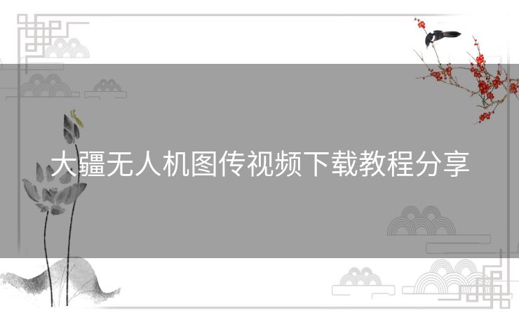 大疆无人机图传视频下载教程分享