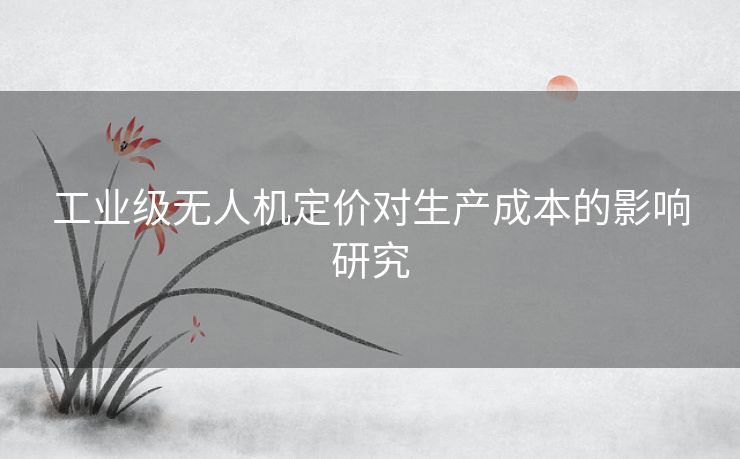 工业级无人机定价对生产成本的影响研究