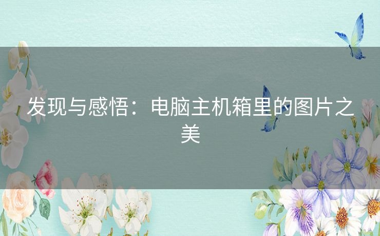 发现与感悟：电脑主机箱里的图片之美