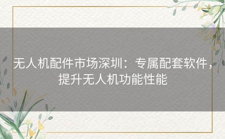 无人机配件市场深圳：专属配套软件，提升无人机功能性能