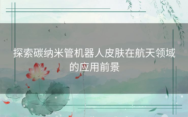 探索碳纳米管机器人皮肤在航天领域的应用前景