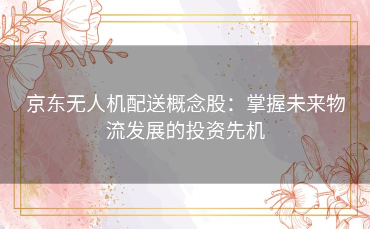 京东无人机配送概念股：掌握未来物流发展的投资先机