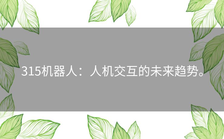 315机器人：人机交互的未来趋势。