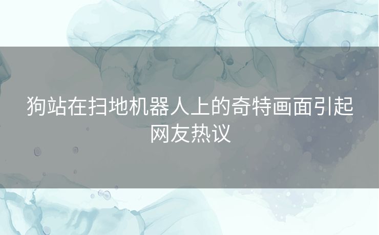 狗站在扫地机器人上的奇特画面引起网友热议