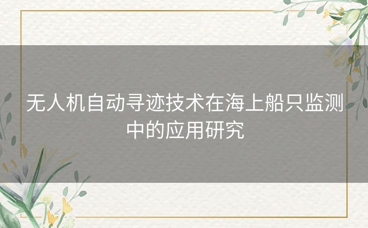 无人机自动寻迹技术在海上船只监测中的应用研究