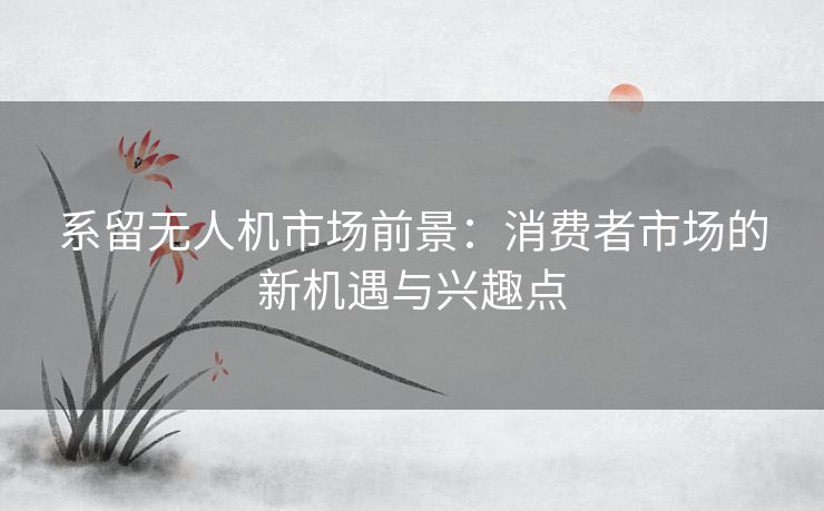 系留无人机市场前景：消费者市场的新机遇与兴趣点
