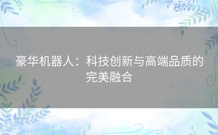 豪华机器人：科技创新与高端品质的完美融合