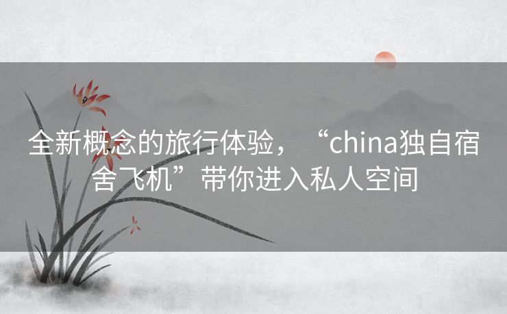 全新概念的旅行体验，“china独自宿舍飞机”带你进入私人空间