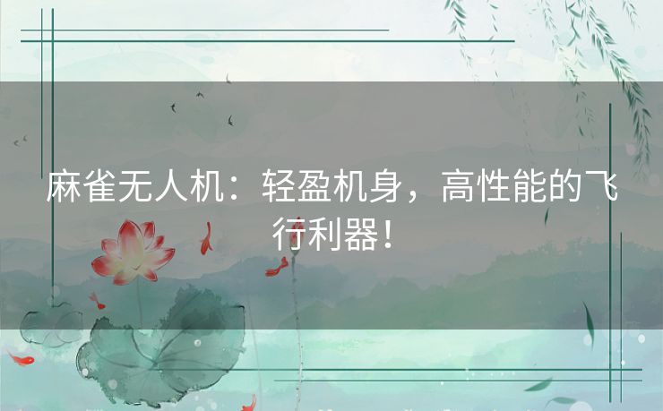 麻雀无人机：轻盈机身，高性能的飞行利器！