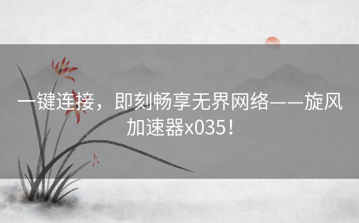 一键连接，即刻畅享无界网络——旋风加速器x035！