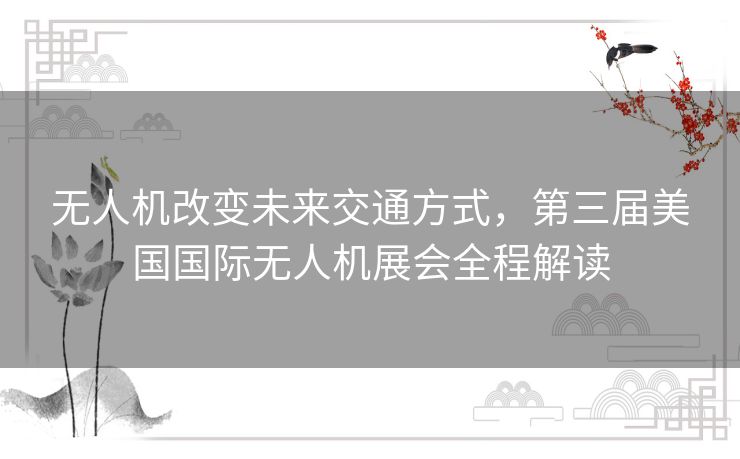 无人机改变未来交通方式，第三届美国国际无人机展会全程解读