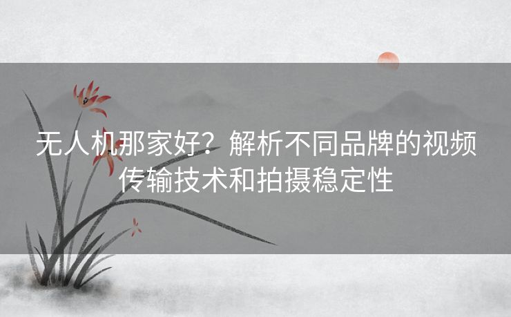 无人机那家好？解析不同品牌的视频传输技术和拍摄稳定性