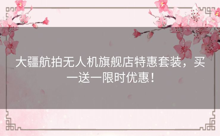 大疆航拍无人机旗舰店特惠套装，买一送一限时优惠！