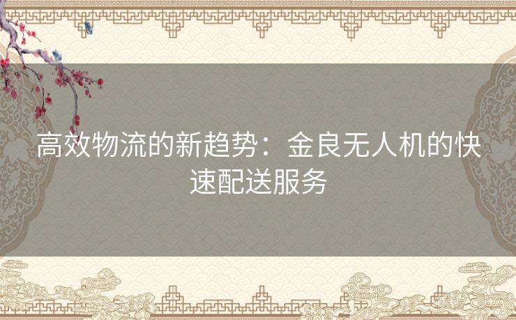 高效物流的新趋势：金良无人机的快速配送服务